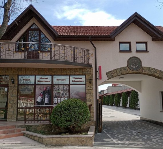 Zum Weingut Chateau Cojușna