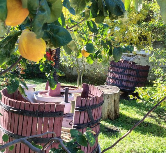 Vom Weingut Leuntea-Vin zum Nistrul Vechi